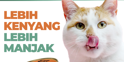 KUCING OREN - Trakteer.id